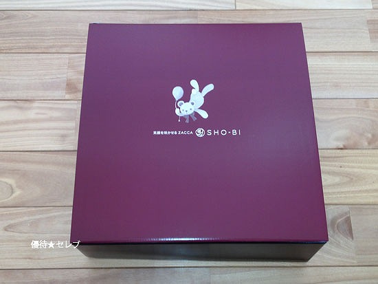 SHO-BI@ʐ^